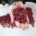 high quality dark red kidney bean DRKB RDKB SHANXI ORIGIN